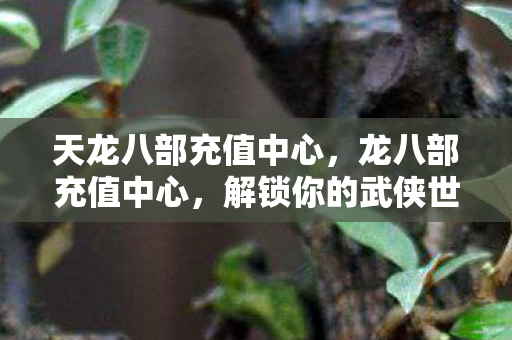 天龙八部充值中心，龙八部充值中心，解锁你的武侠世界之旅