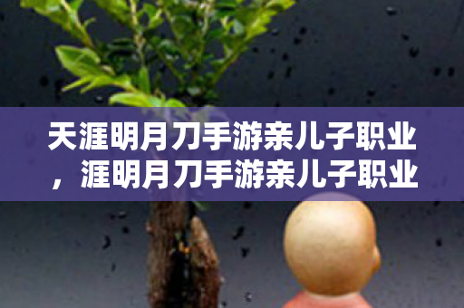 天涯明月刀手游亲儿子职业，涯明月刀手游亲儿子职业解析