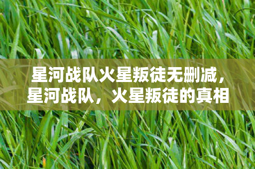 星河战队火星叛徒无删减，星河战队，火星叛徒的真相