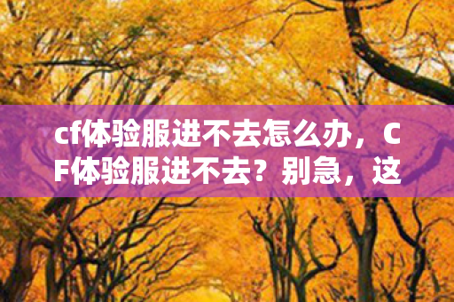 cf体验服进不去怎么办,CF体验服进不去?别急,这里有解决办法! cf体验服进不去怎么办,CF体验服进不去?别急,这里有解决办法!