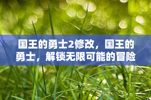国王的勇士2修改，国王的勇士，解锁无限可能的冒险之旅