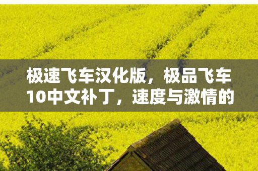 极速飞车汉化版,极品飞车10中文补丁,速度与激情的中文之旅 极速飞车汉化版,极品飞车10中文补丁,速度与激情的中文之旅