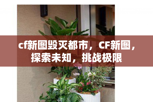 cf新图毁灭都市,CF新图,探索未知,挑战极限 cf新图毁灭都市,CF新图,探索未知,挑战极限