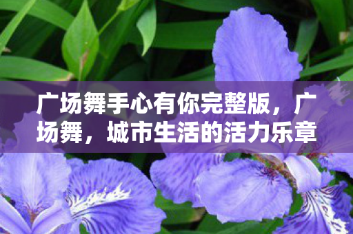 广场舞手心有你完整版,广场舞,城市生活的活力乐章 广场舞手心有你完整版,广场舞,城市生活的活力乐章