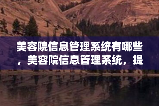 美容院信息管理系统有哪些，美容院信息管理系统，提升服务效率与顾客满意度的关键
