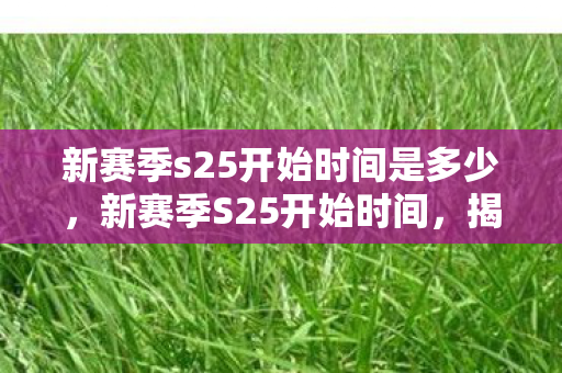 新赛季s25开始时间是多少，新赛季S25开始时间，揭秘王者荣耀的更新计划