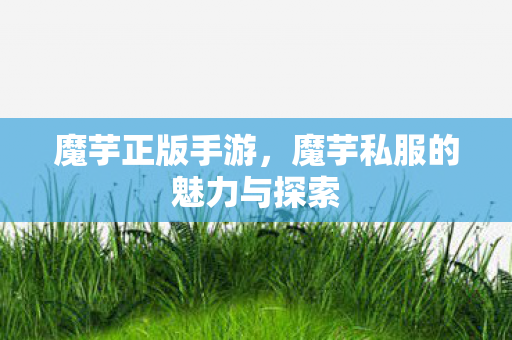魔芋正版手游，魔芋私服的魅力与探索
