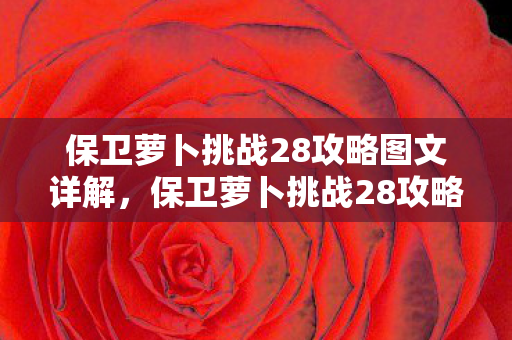 保卫萝卜挑战28攻略图文详解,保卫萝卜挑战28攻略,策略与技巧大揭秘 保卫萝卜挑战28攻略图文详解,保卫萝卜挑战28攻略,策略与技巧大揭秘