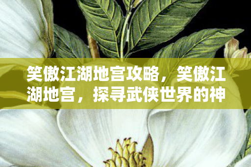 笑傲江湖地宫攻略，笑傲江湖地宫，探寻武侠世界的神秘宝藏