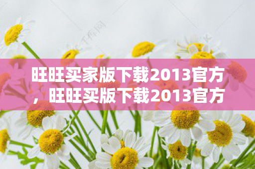 旺旺买家版下载2013官方,旺旺买版下载2013官方,打造高效便捷的商务沟通平台 旺旺买家版下载2013官方,旺旺买版下载2013官方,打造高效便捷的商务沟通平台