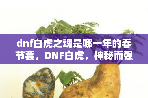 dnf白虎之魂是哪一年的春节套，DNF白虎，神秘而强大的存在