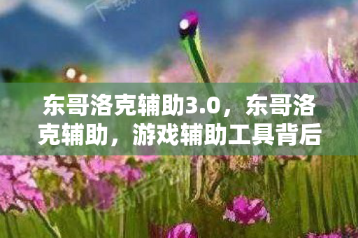 东哥洛克辅助3.0,东哥洛克辅助,游戏辅助工具背后的故事与争议 东哥洛克辅助3.0,东哥洛克辅助,游戏辅助工具背后的故事与争议