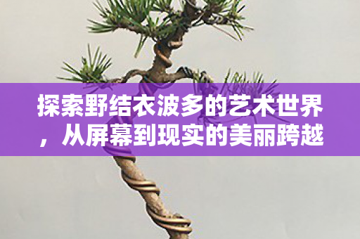 探索野结衣波多的艺术世界，从屏幕到现实的美丽跨越