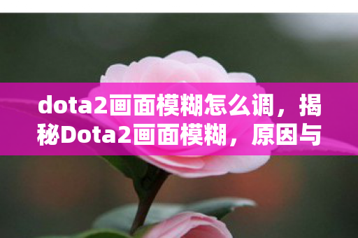 dota2画面模糊怎么调，揭秘Dota2画面模糊，原因与解决方案