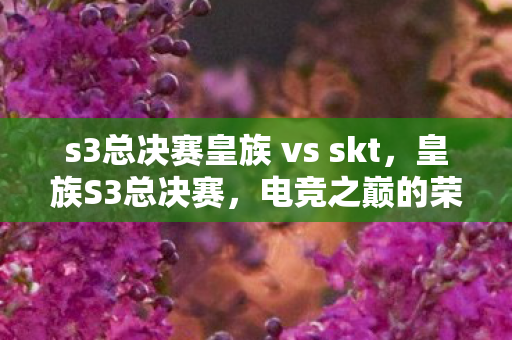 s3总决赛皇族 vs skt,皇族S3总决赛,电竞之巅的荣耀对决 s3总决赛皇族 vs skt,皇族S3总决赛,电竞之巅的荣耀对决