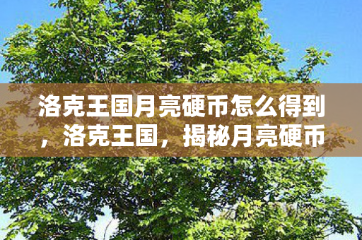 洛克王国月亮硬币怎么得到,洛克王国,揭秘月亮硬币的获取途径 洛克王国月亮硬币怎么得到,洛克王国,揭秘月亮硬币的获取途径