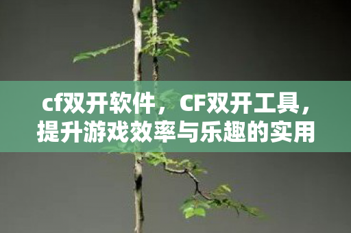 cf双开软件,CF双开工具,提升游戏效率与乐趣的实用工具 cf双开软件,CF双开工具,提升游戏效率与乐趣的实用工具