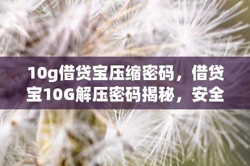 10g借贷宝压缩密码,借贷宝10G解压密码揭秘,安全、隐私与合规性的探讨 10g借贷宝压缩密码,借贷宝10G解压密码揭秘,安全、隐私与合规性的探讨
