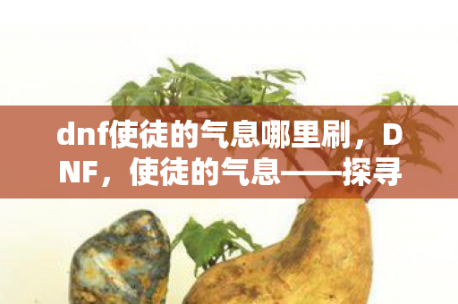 dnf使徒的气息哪里刷，DNF，使徒的气息——探寻游戏中的神秘力量