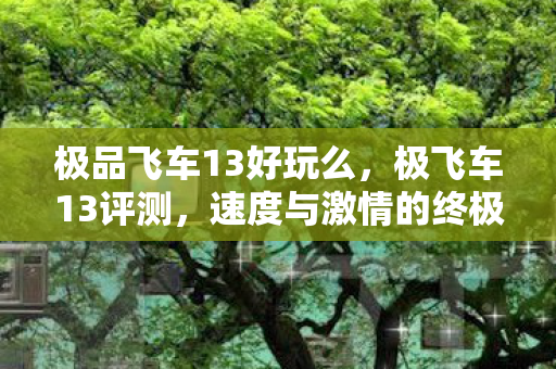 极品飞车13好玩么,极飞车13评测,速度与激情的终极体验 极品飞车13好玩么,极飞车13评测,速度与激情的终极体验