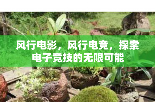 风行电影，风行电竞，探索电子竞技的无限可能