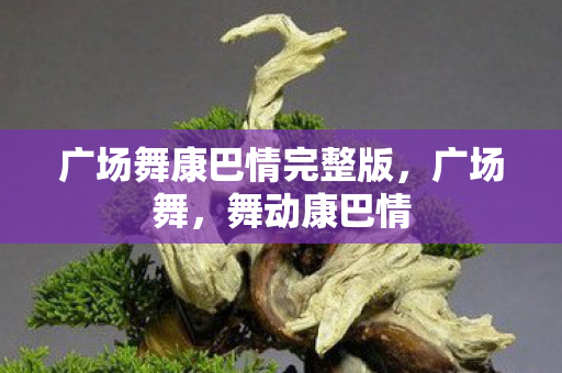 广场舞康巴情完整版,广场舞,舞动康巴情 广场舞康巴情完整版,广场舞,舞动康巴情