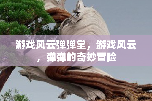 游戏风云弹弹堂，游戏风云，弹弹的奇妙冒险