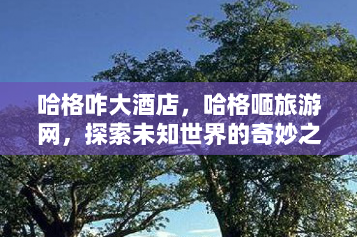 哈格咋大酒店，哈格咂旅游网，探索未知世界的奇妙之旅