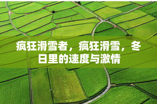 疯狂滑雪者，疯狂滑雪，冬日里的速度与激情