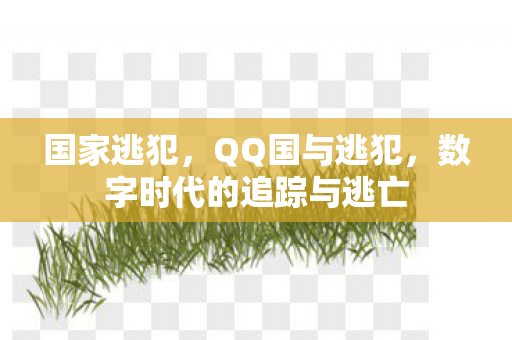 国家逃犯，QQ国与逃犯，数字时代的追踪与逃亡