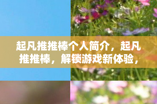 起凡推推棒个人简介,起凡推推棒,解锁游戏新体验,打造竞技新高度 起凡推推棒个人简介,起凡推推棒,解锁游戏新体验,打造竞技新高度