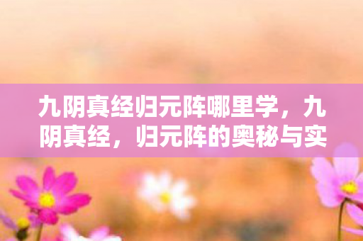 九阴真经归元阵哪里学,九阴真经,归元阵的奥秘与实战应用 九阴真经归元阵哪里学,九阴真经,归元阵的奥秘与实战应用