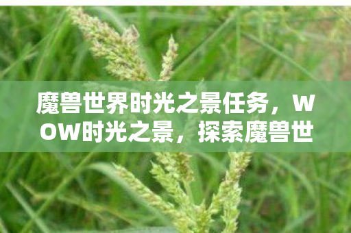 魔兽世界时光之景任务，WOW时光之景，探索魔兽世界的无尽魅力