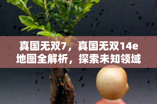 真国无双7，真国无双14e地图全解析，探索未知领域的战略与冒险