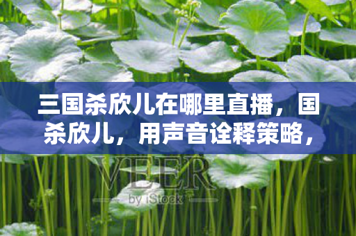 三国杀欣儿在哪里直播,国杀欣儿,用声音诠释策略,以解说点燃激情 三国杀欣儿在哪里直播,国杀欣儿,用声音诠释策略,以解说点燃激情