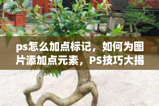 ps怎么加点标记,如何为图片添加点元素,PS技巧大揭秘 ps怎么加点标记,如何为图片添加点元素,PS技巧大揭秘