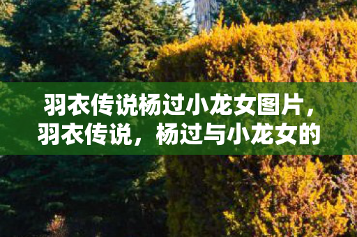 羽衣传说杨过小龙女图片,羽衣传说,杨过与小龙女的旷世情缘 羽衣传说杨过小龙女图片,羽衣传说,杨过与小龙女的旷世情缘