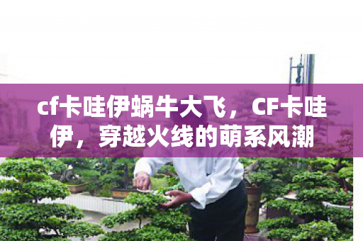 cf卡哇伊蜗牛大飞,CF卡哇伊,穿越火线的萌系风潮 cf卡哇伊蜗牛大飞,CF卡哇伊,穿越火线的萌系风潮