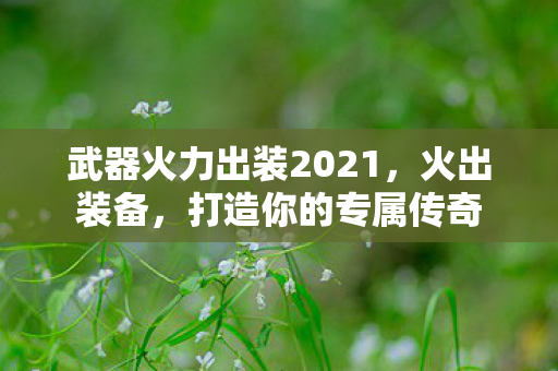 武器火力出装2021,火出装备,打造你的专属传奇 武器火力出装2021,火出装备,打造你的专属传奇