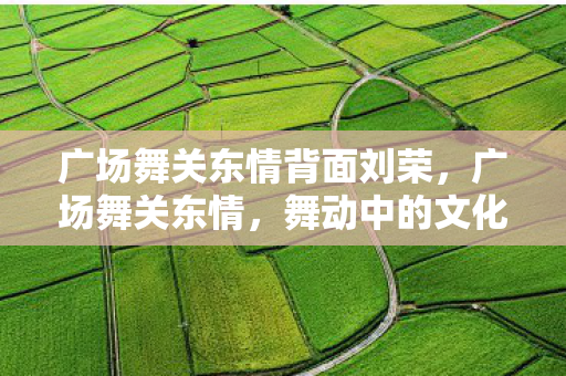 广场舞关东情背面刘荣,广场舞关东情,舞动中的文化传承与社区纽带 广场舞关东情背面刘荣,广场舞关东情,舞动中的文化传承与社区纽带