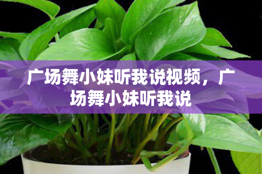 广场舞小妹听我说视频，广场舞小妹听我说