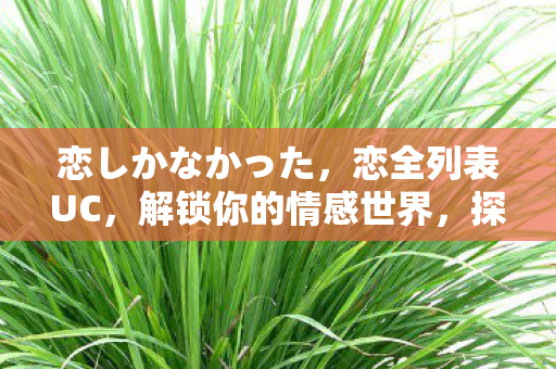 恋しかなかった，恋全列表UC，解锁你的情感世界，探索无限可能