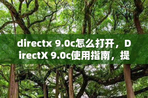 directx 9.0c怎么打开,DirectX 9.0c使用指南,提升游戏与多媒体体验 directx 9.0c怎么打开,DirectX 9.0c使用指南,提升游戏与多媒体体验