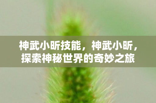 神武小昕技能，神武小昕，探索神秘世界的奇妙之旅
