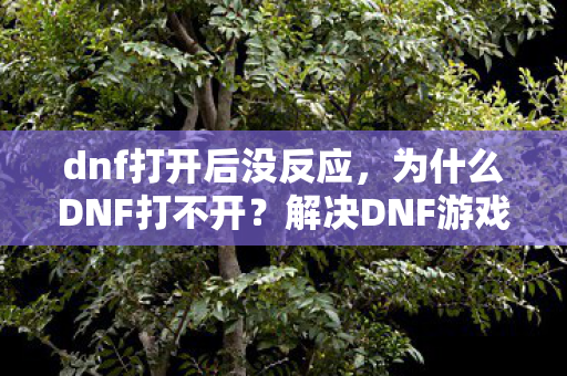 dnf打开后没反应，为什么DNF打不开？解决DNF游戏无法启动的常见问题