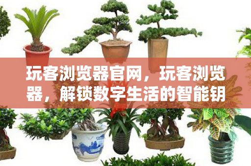 玩客浏览器官网,玩客浏览器,解锁数字生活的智能钥匙 玩客浏览器官网,玩客浏览器,解锁数字生活的智能钥匙