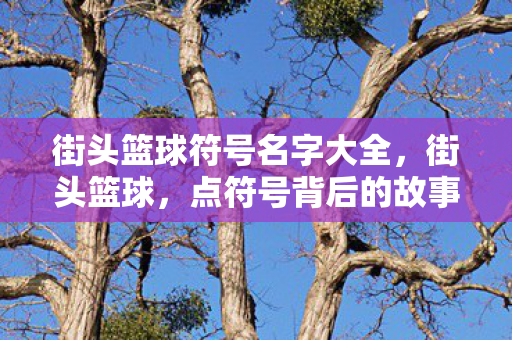 街头篮球符号名字大全，街头篮球，点符号背后的故事