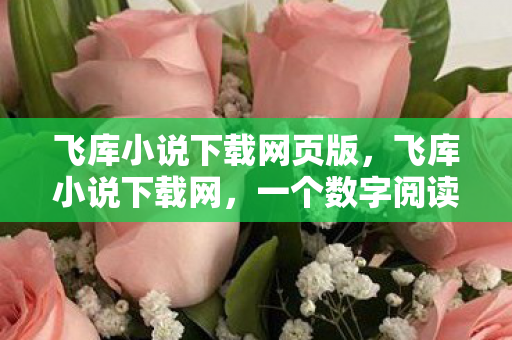 飞库小说下载网页版，飞库小说下载网，一个数字阅读时代的便捷选择