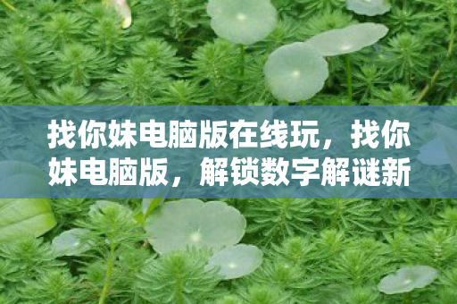 找你妹电脑版在线玩,找你妹电脑版,解锁数字解谜新体验 找你妹电脑版在线玩,找你妹电脑版,解锁数字解谜新体验