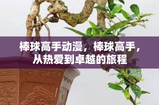 棒球高手动漫，棒球高手，从热爱到卓越的旅程